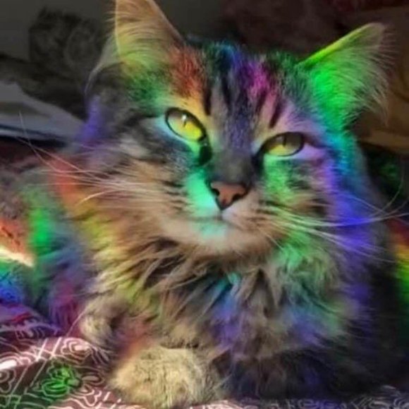 Hanging Crystal Prism ~ Rainbow Suncatcher - Picture 2 of 2